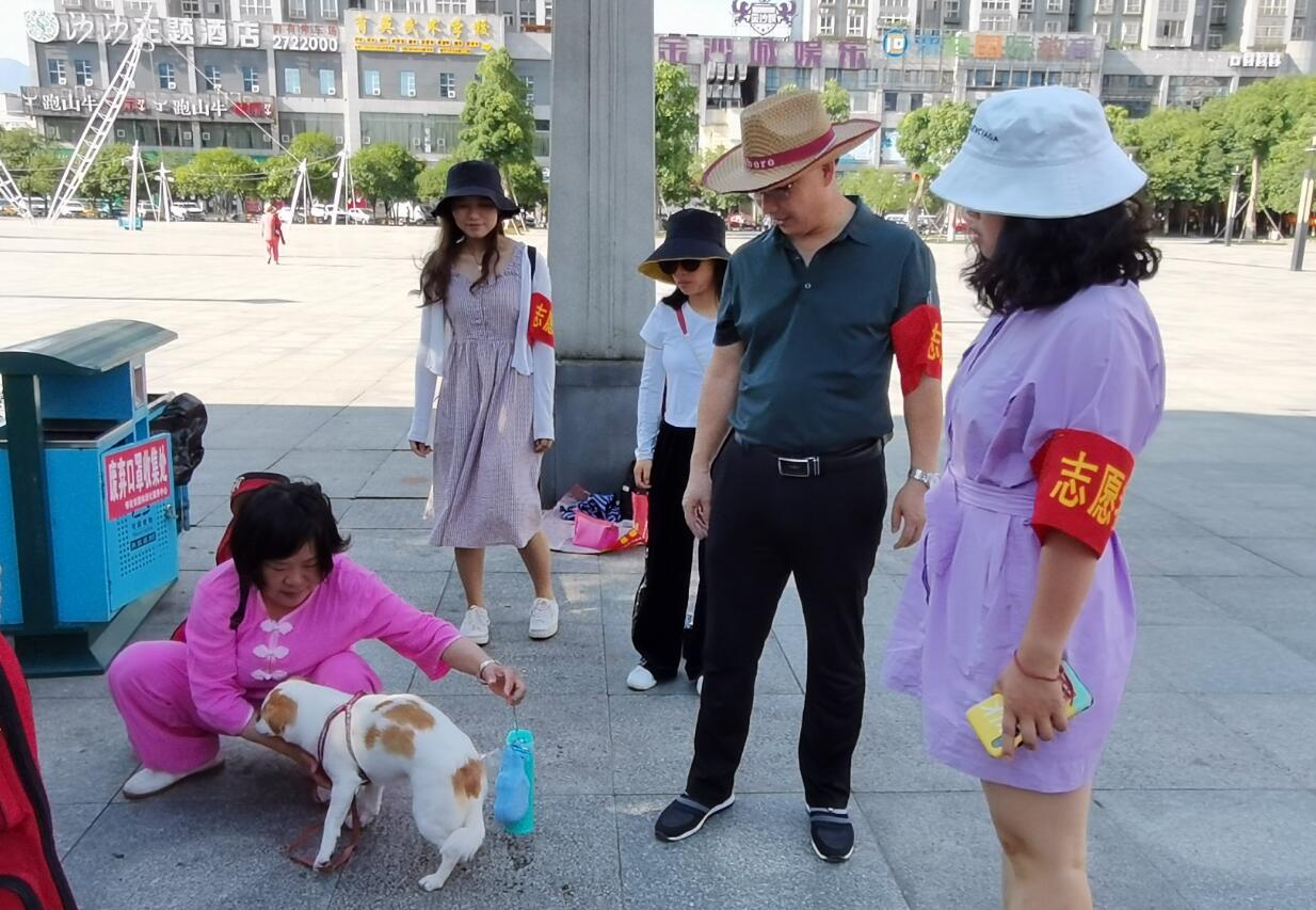 1596510176256410.jpg 1596510176256410.jpg